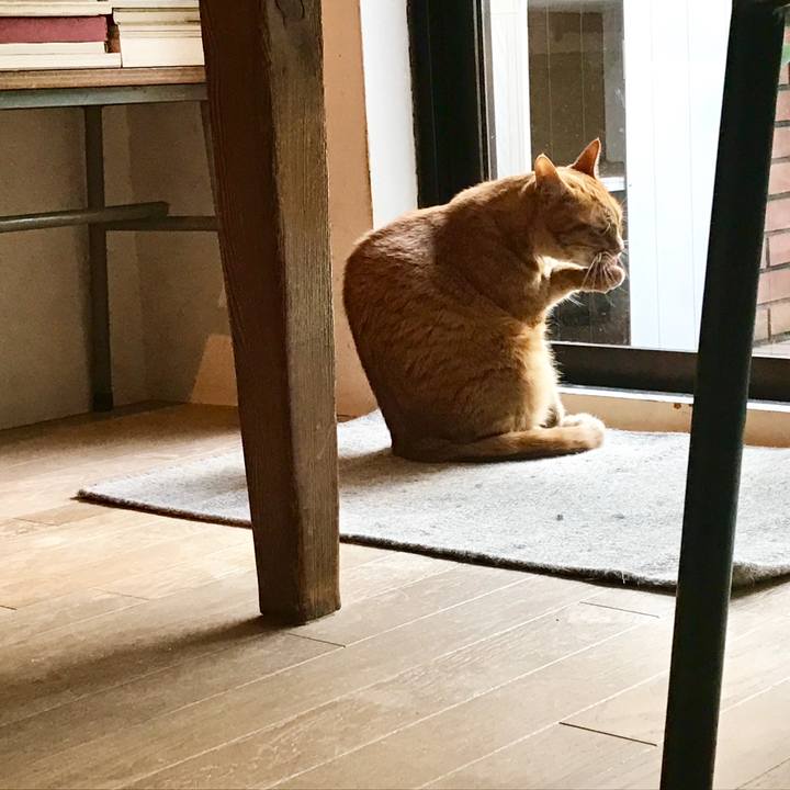 08ce202d 8916 4e1e b1c7 8b3927f52ad3