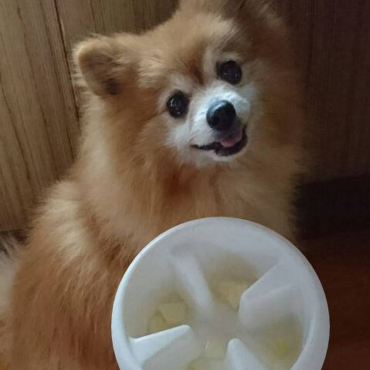 08cf6b29 ed39 42d5 a1fa c7588656cbc3