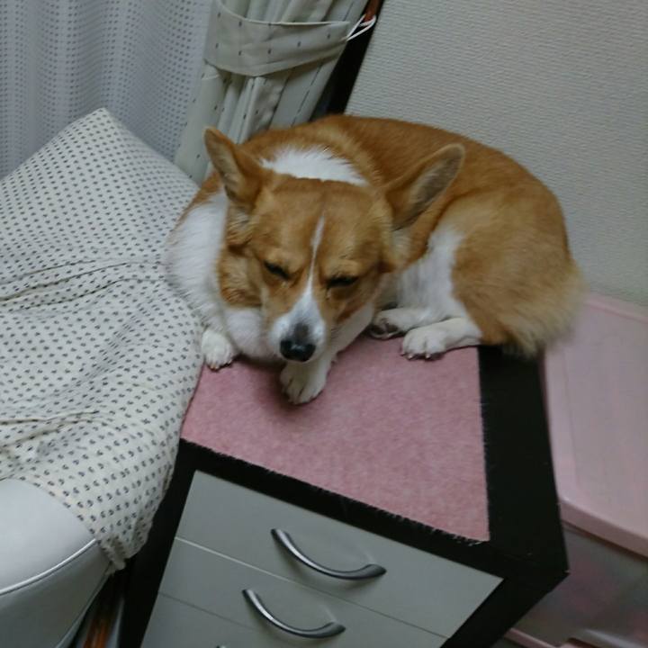 08d03848 f37d 44fb 8574 3f8124b13e65