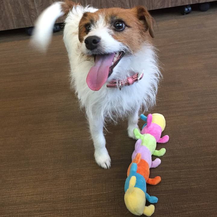 08d050dd 4d65 41bc a1aa 5f743e7e7652