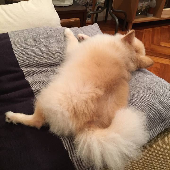 08d06ee4 8c5d 45e3 a9d0 7ea687ed54e9