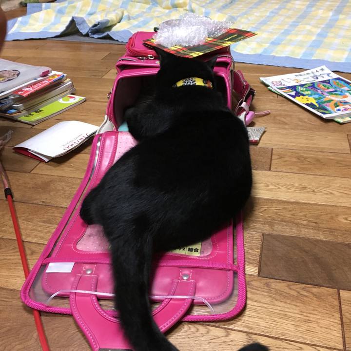 08d1a2c8 096d 49d2 bc8a ef9f41e5a62d