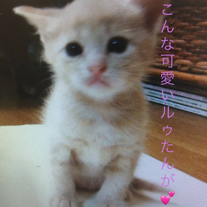 08d1c40e d008 4fa7 86fd ebac1610c22f