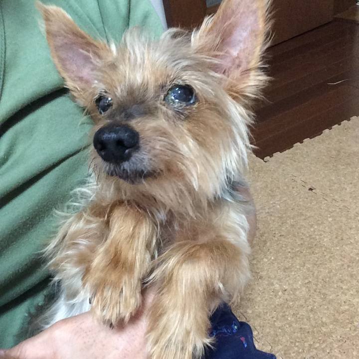 08d30bef 80aa 49e9 8bc8 5c0328f56ddd