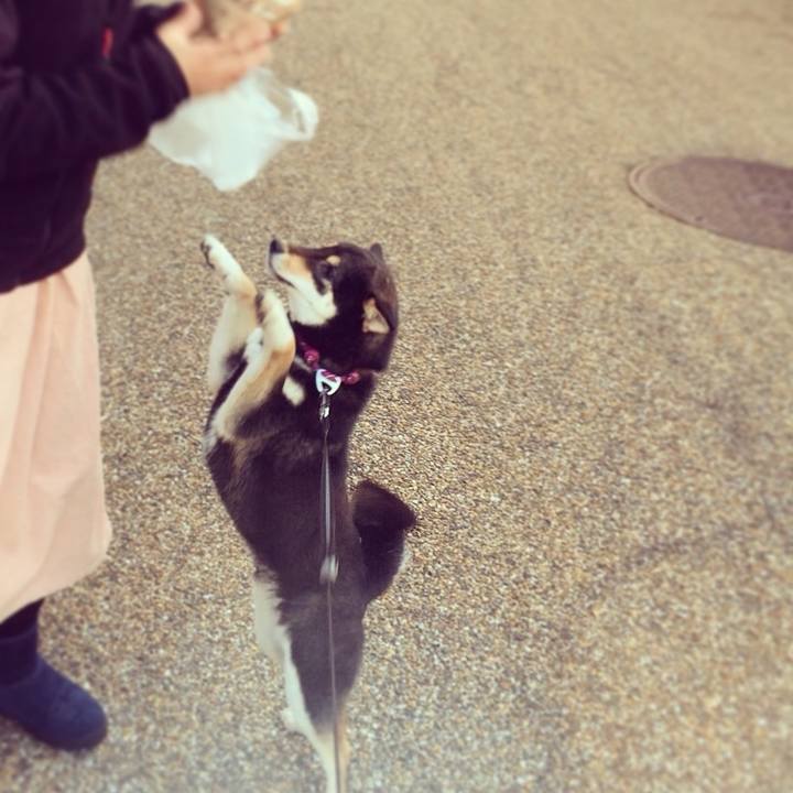 08d360c6 7b3c 4407 94f3 fe9f090dbf8e