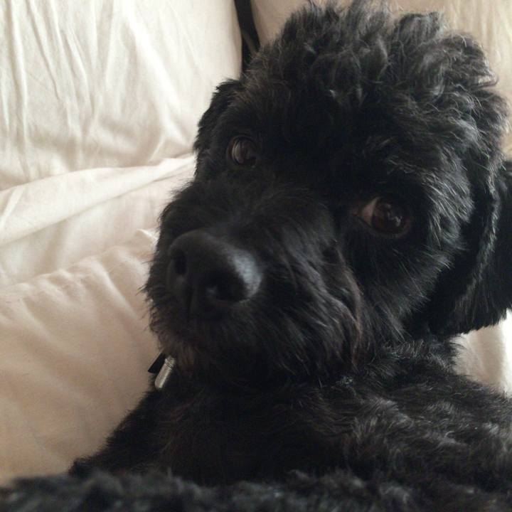 08d36aca ee53 4cfc af2c a48c8a85ea30