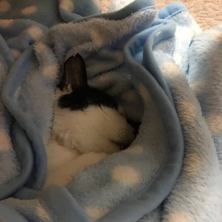 08d371ba 90df 479f ac31 e54bb75a3859