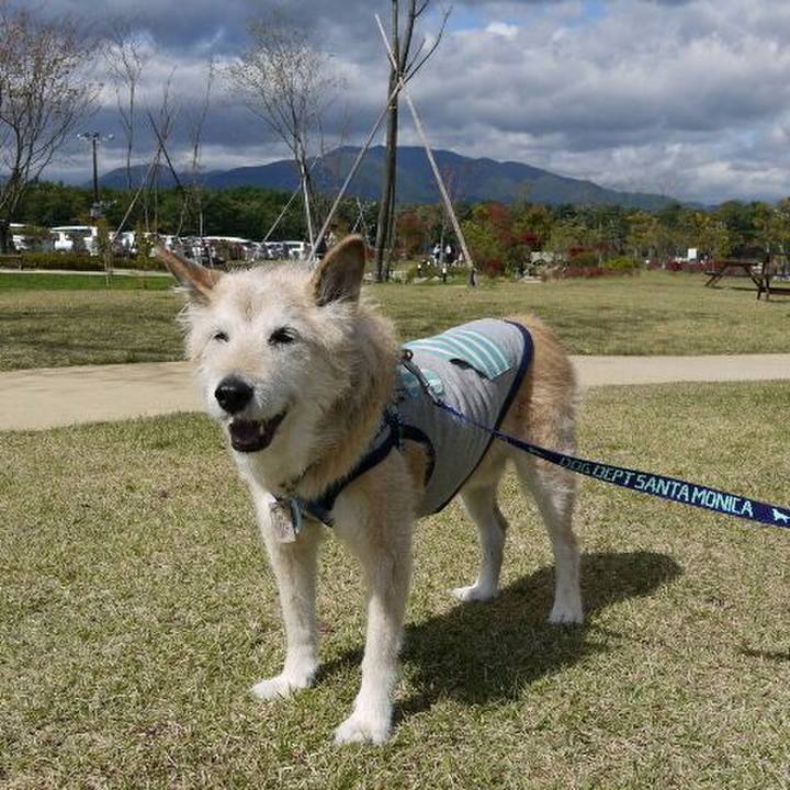 08d3bd8d cd2a 4634 a44c 24c15c57ab49