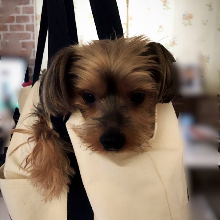 08d4b76d 51af 4d01 9a7f 24e14e4a3ce6