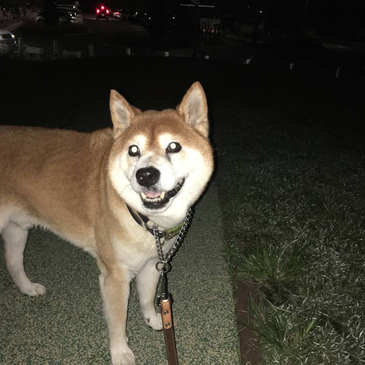 08d609f1 95f4 480f 9136 a4ad598deac7