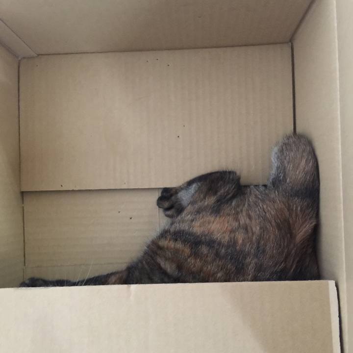 08d61e4a 504a 439c 97ae 6f652880cc88