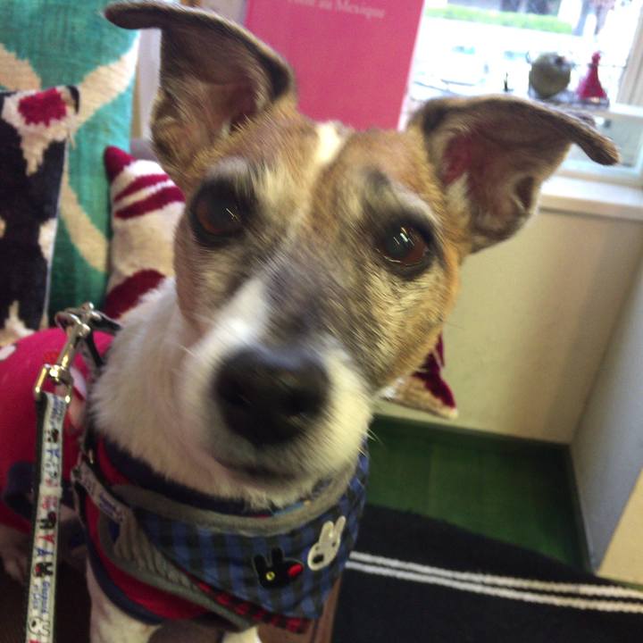 08d74405 e127 492d 9930 22355df302a1