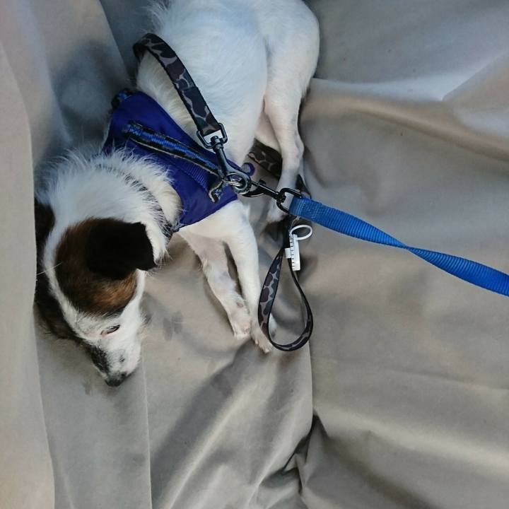 08d751f5 81b3 4239 a20d 19650780f060