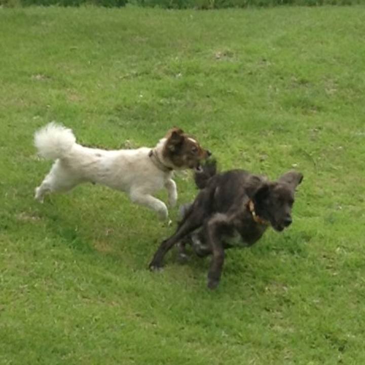 08d75bc8 58ca 4672 b9bf def48096a0dc