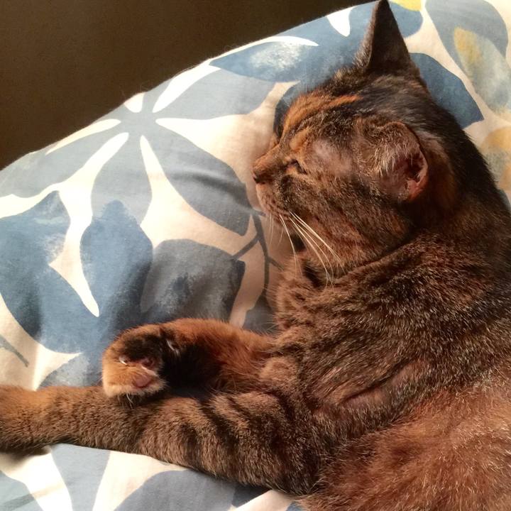 08d80832 6ee6 4c98 b6d4 4b12183cc1a5