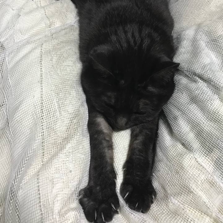 08d813d7 0d4f 4c6a 9ee2 68bbb5330595