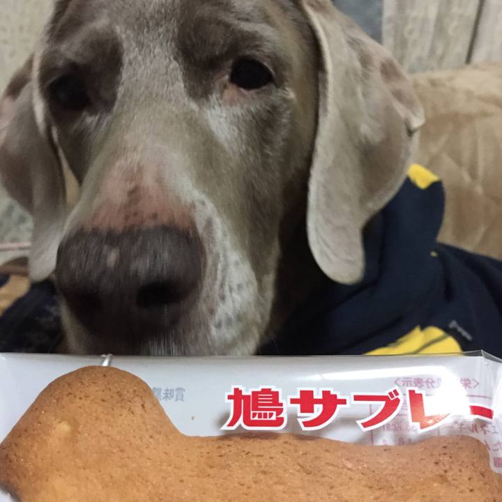 08d81539 7844 4ea8 a1ea 2d6f632c7813