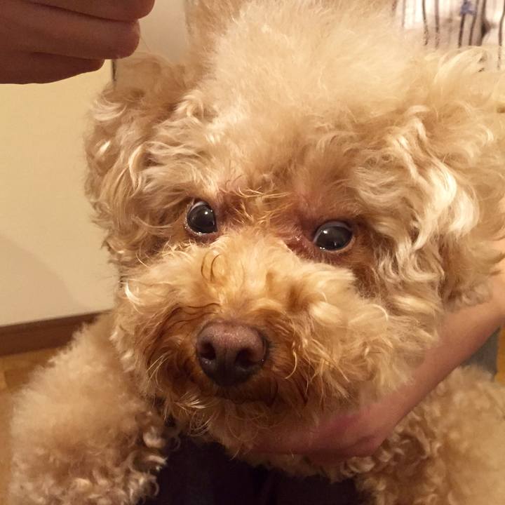 08da23be e37e 44d8 85c9 2d165375ba0c