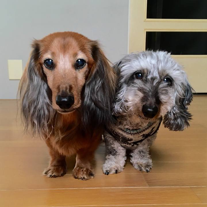 08da2484 fd6d 427c a3cd 2399cfe8d0ea