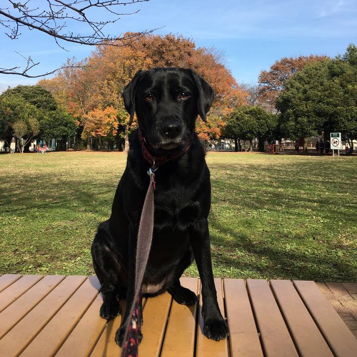 08da932c 22bc 42e6 92f8 363412915d6a