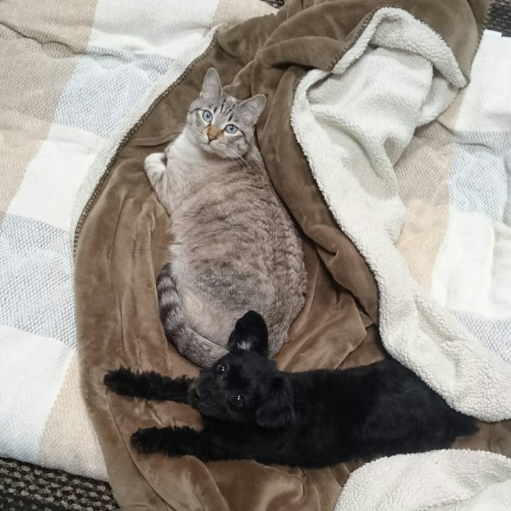 08db2473 45de 4404 90d6 a96cf38f150c