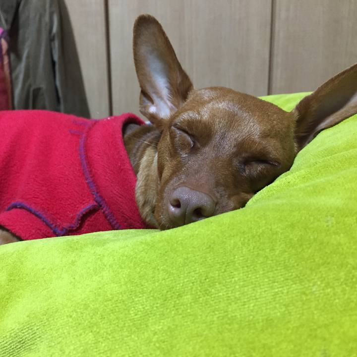 08db329d 6a72 4b37 ac30 5ac03c6f88d8