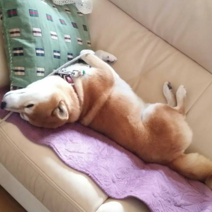 08db5c73 5914 44ee ad42 587de629f7a3