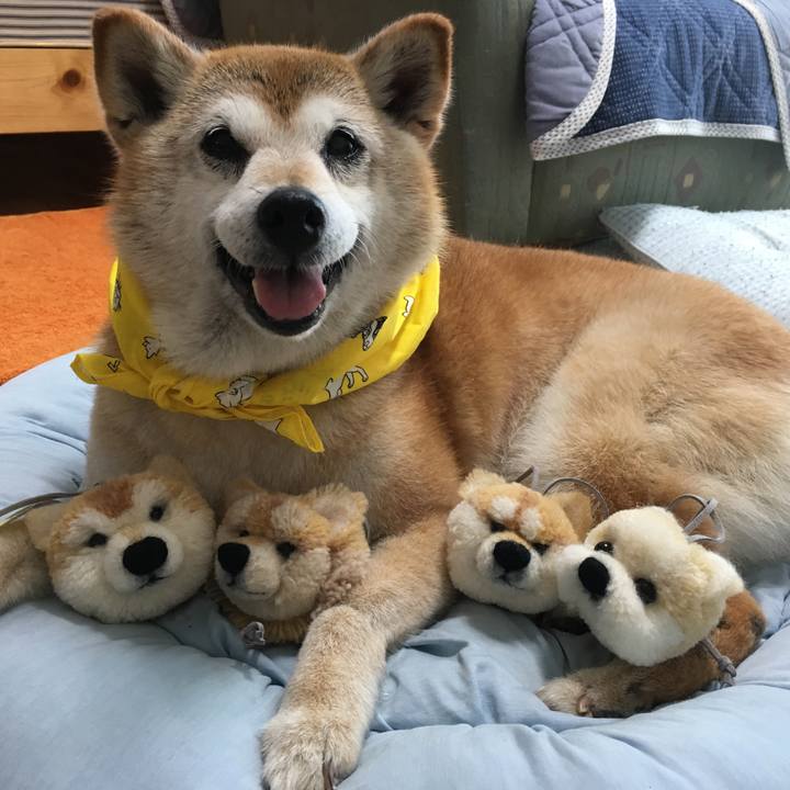 08db8ff7 ca32 4277 858f df8c58873acc