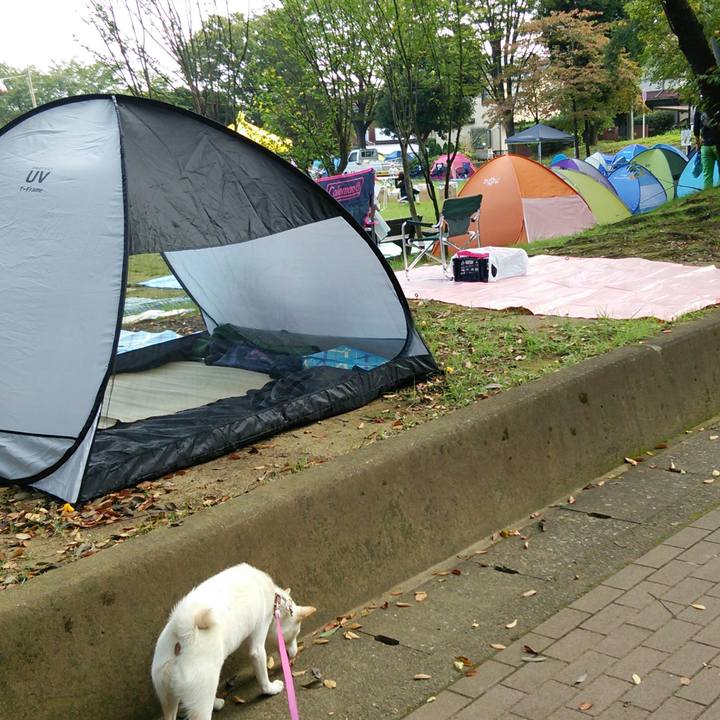 08dc76ec c980 4059 b77c 40d69c4828c0