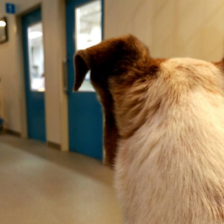 08dce701 f901 4657 97e0 18a7d5c7fe1f