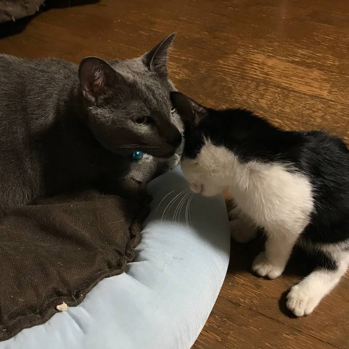 08dcec36 7fd1 4103 95d4 a35afa07cfc1