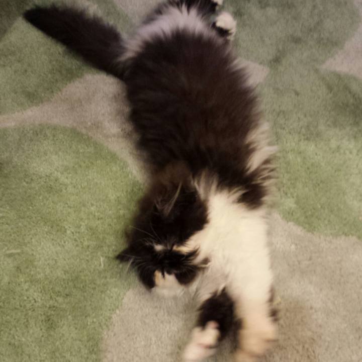 08ddad26 a08d 468a ac3b 7ad03b62e372