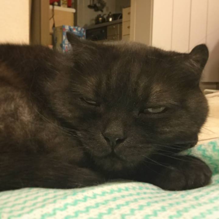 08ddaeac 4d9b 45f7 80ea 9e201bafdd1d