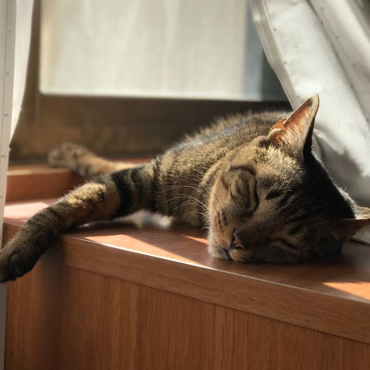 08ddb903 8067 459d afff 1ef2493d20c4