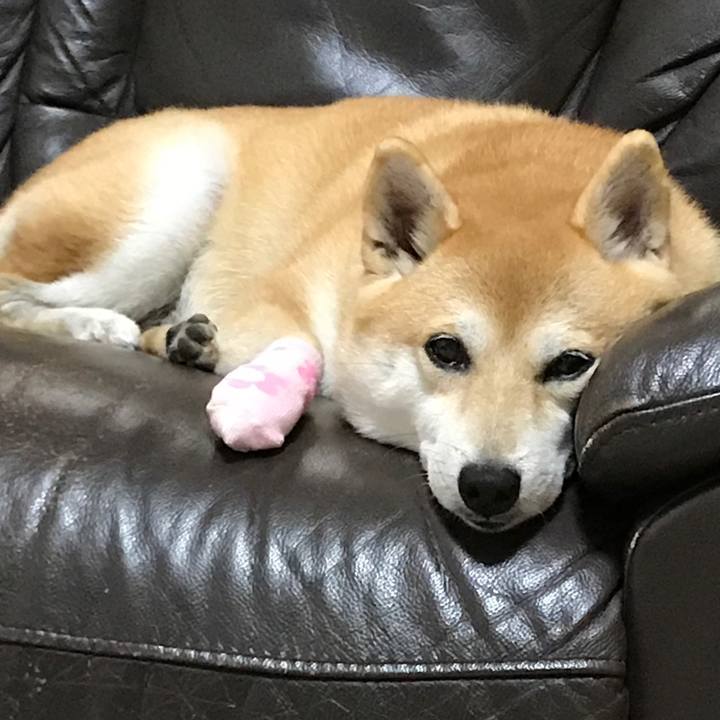 08debf7d 25c1 49bf 9402 4815194a64ee