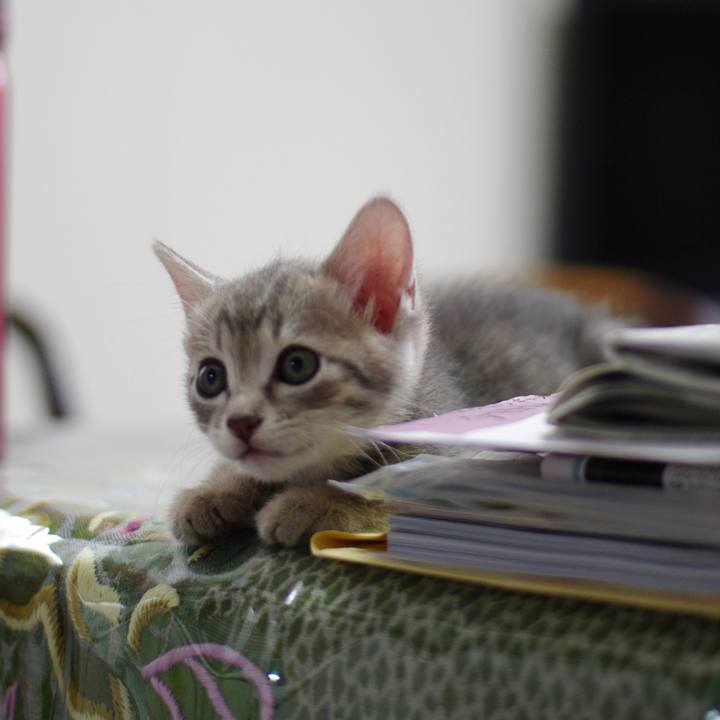 08df6d1f eba6 49d0 b739 44eb92a7c867