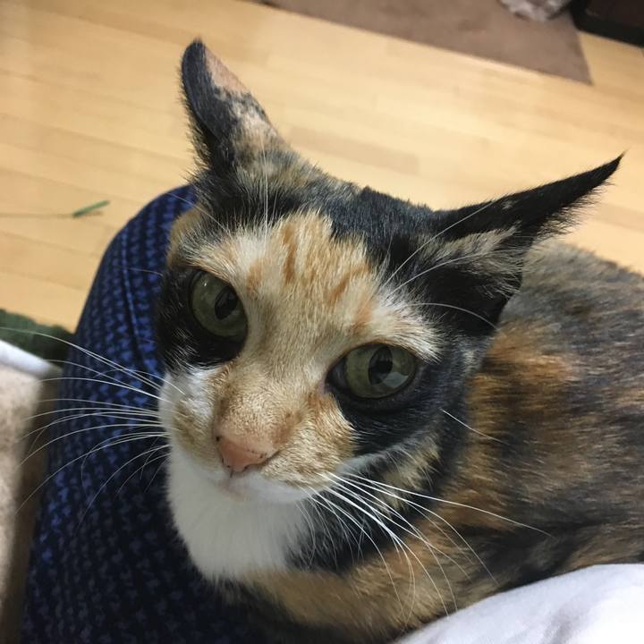 08df858c 5ede 44ab 91ef e90f2b89c38b