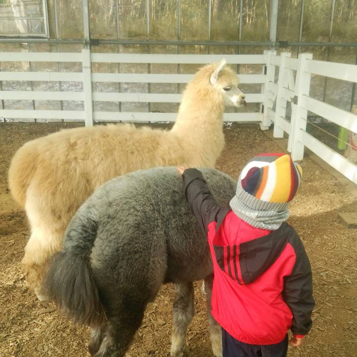 08dfa45c ba6e 43b3 bbba 35ec34099e19