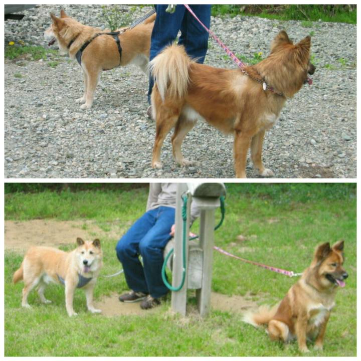 08e0ae7d 966b 427e a4d2 bf5c27e45909