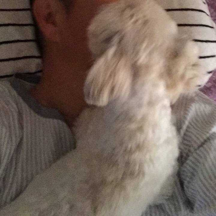 08e0f172 10c6 4119 8162 158b0d841c8d