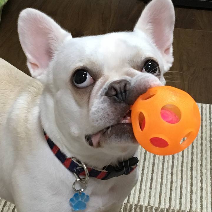 08e2b8c2 b56a 4b11 87f0 1285be1486a5