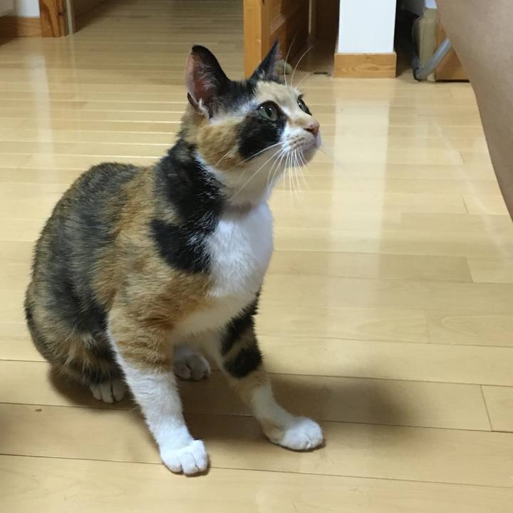 08e328a2 3d52 4c61 bf6a 0ae82bb55726