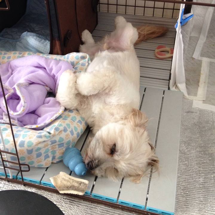 08e35e52 2522 42a5 827a b63e8e430579