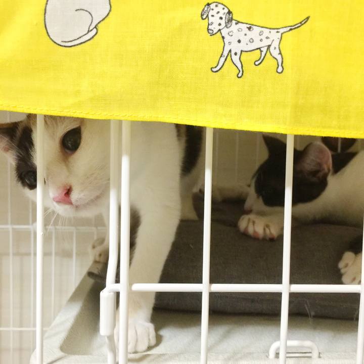 08e390bb 0fd8 4b7f 993c 933c63c493e0