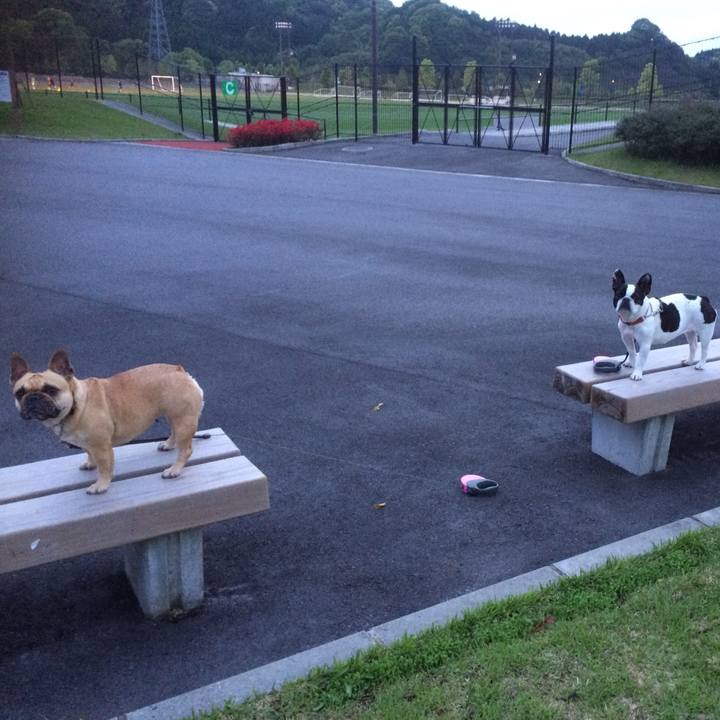 08e3b7bb 22d7 47f8 b382 bfe6275704d7