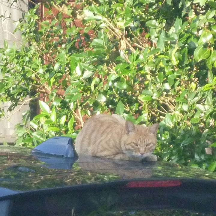 08e3c130 fe96 4ceb b84b 61e7f67f2738