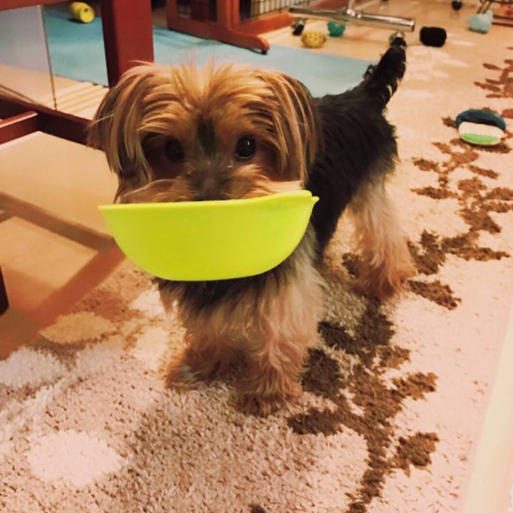 08e42a46 fa61 4ad1 b23e 862e6ddb9653