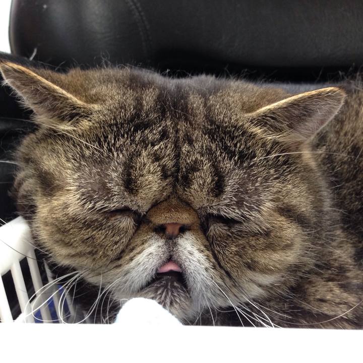 08e43c40 50c3 4132 bb70 b4a512935d7e