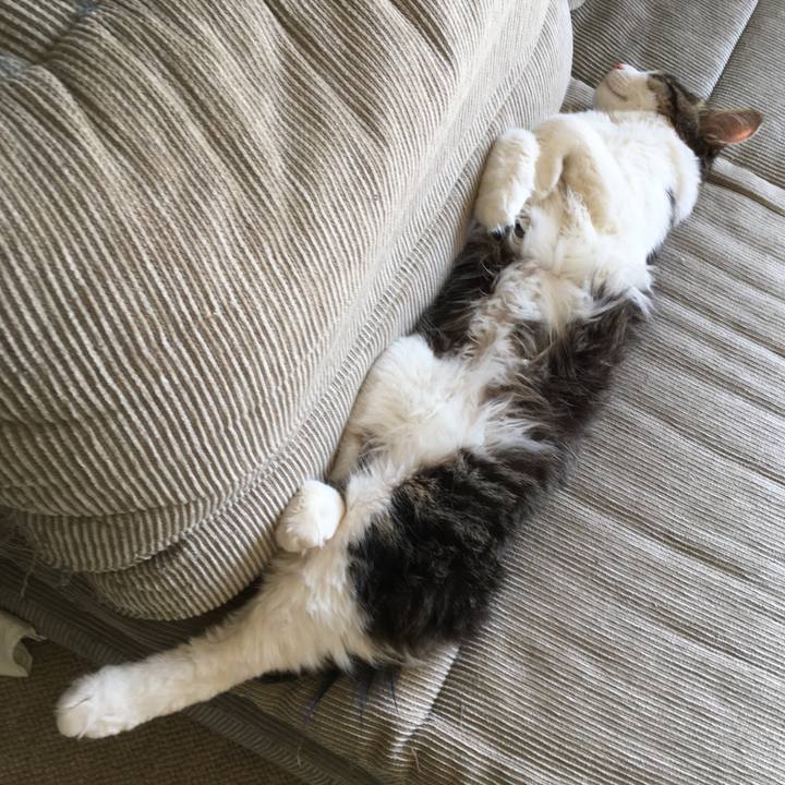 08e46e5e 3540 40fc b2d6 5c5511d4cd3f