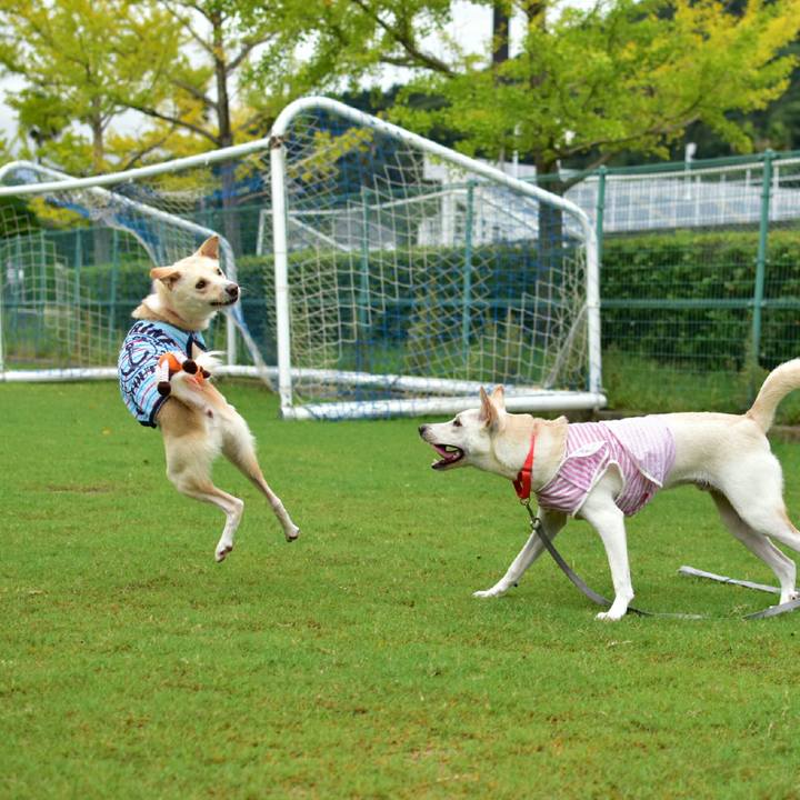 08e478df 5e63 4435 8008 39ee49eac664